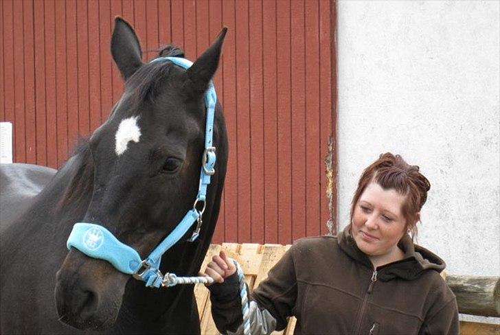 Oldenborg Valenzia - Lenzi ( 18 år) og Lene. Lene passer og rider Lenzi til hverdag :o) billede 5