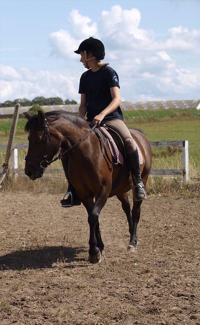 Anden særlig race Fiona - red - Spangbogaard ridelejr 2010 :) billede 20