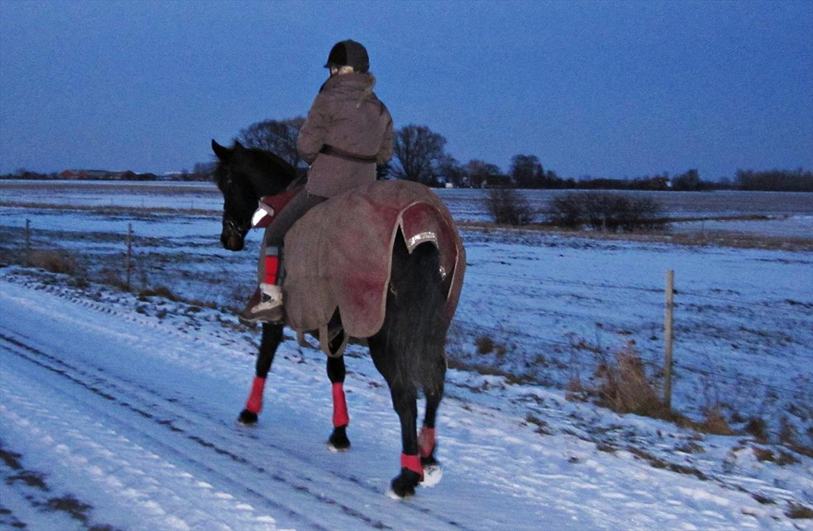 Traver Tøzzen  billede 18