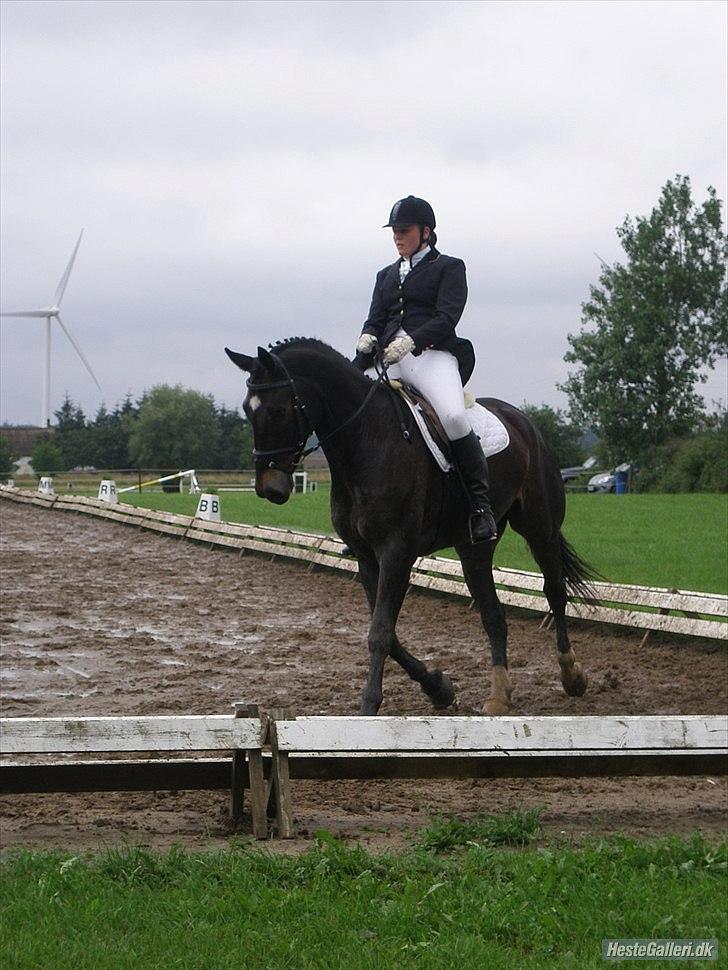 Oldenborg Siegård's flexness - Flexness og jeg til Bornholms Mesterskab i dressur :) billede 12
