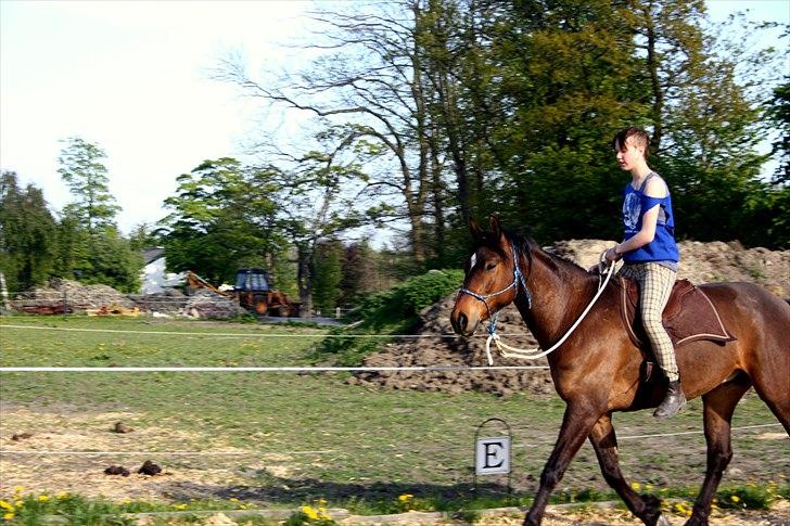 Anden særlig race Ferdinan billede 15