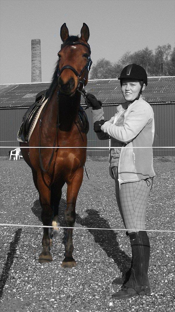 Anden særlig race Florentine billede 20