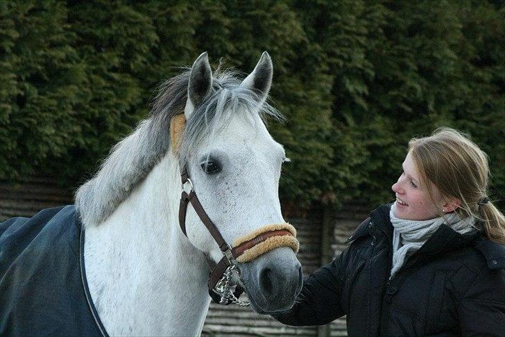 Connemara | Nørlunds Irish Rose | Made in heaven -  Rose min søde trold <3  billede 9