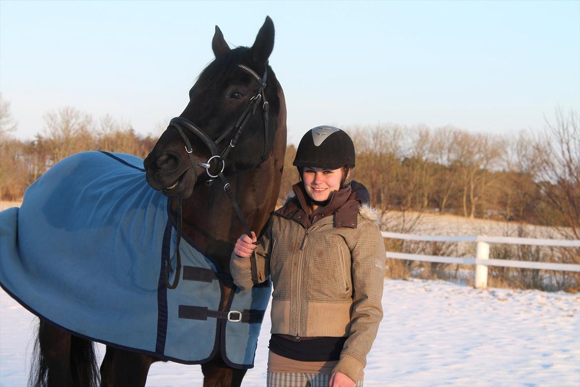 Dansk Varmblod Chanel - Tak fordi i kiggede forbi:)<3 Foto: Annesofie<3 billede 20