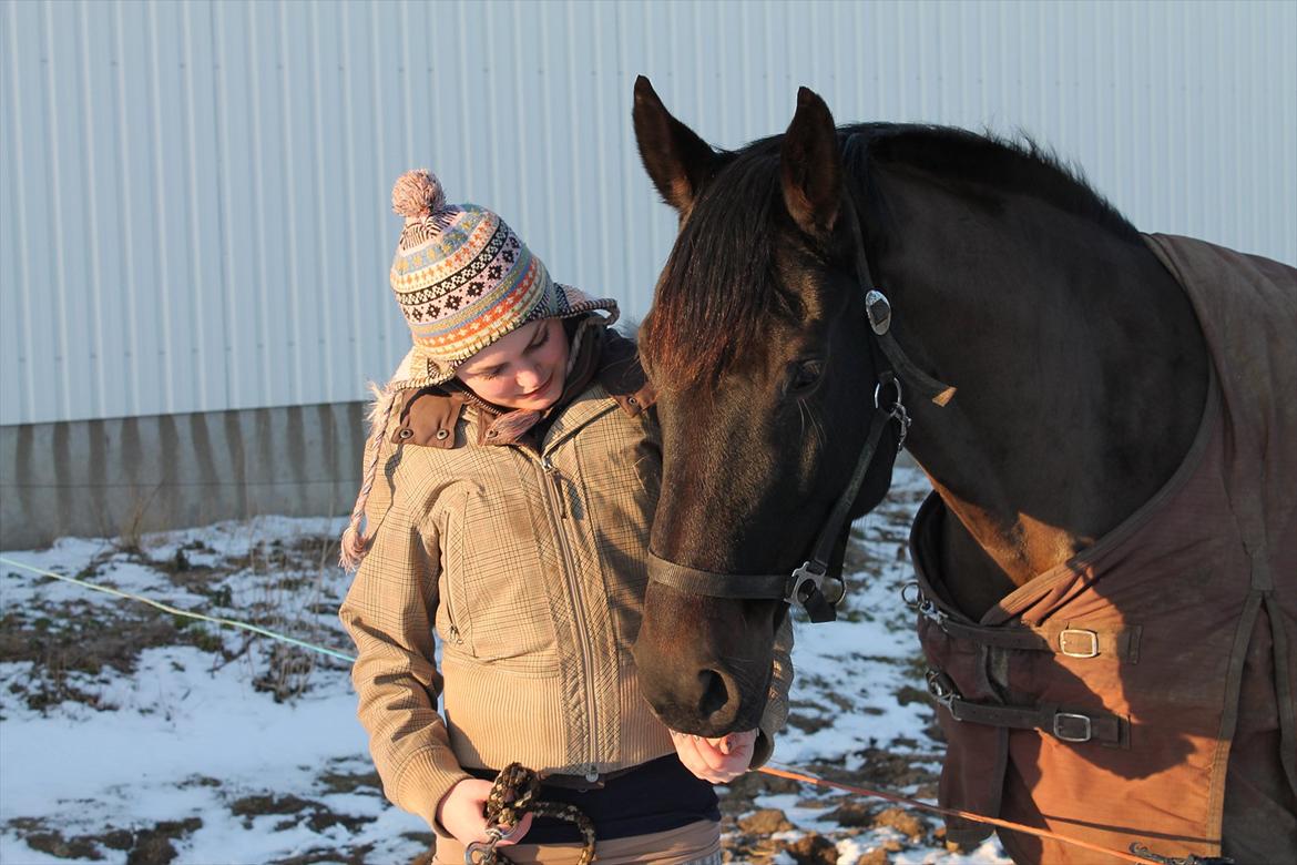 Dansk Varmblod Chanel - You and me<3 Foto: Ditte<3 billede 14