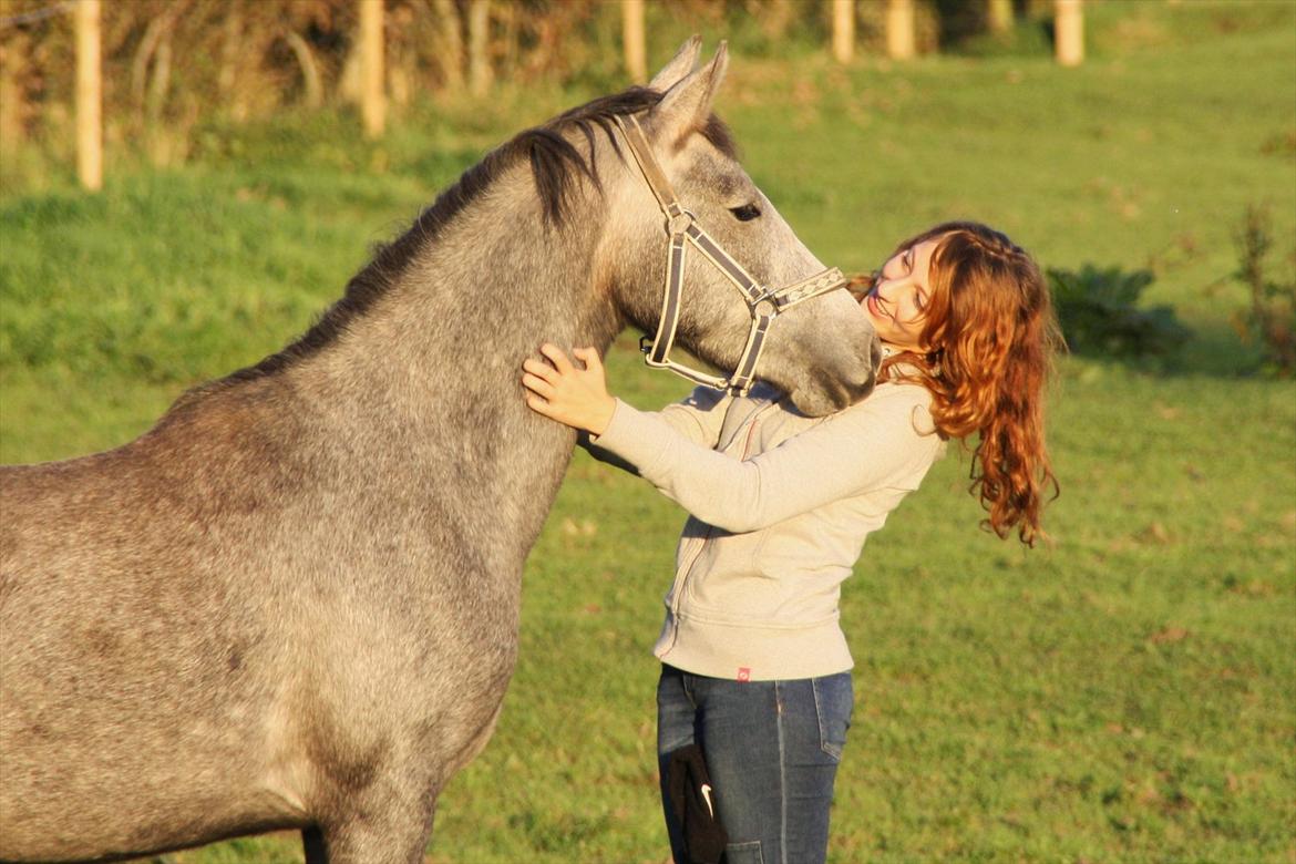 DSP Zulu RIP <3 - dejlige Zulu billede 2