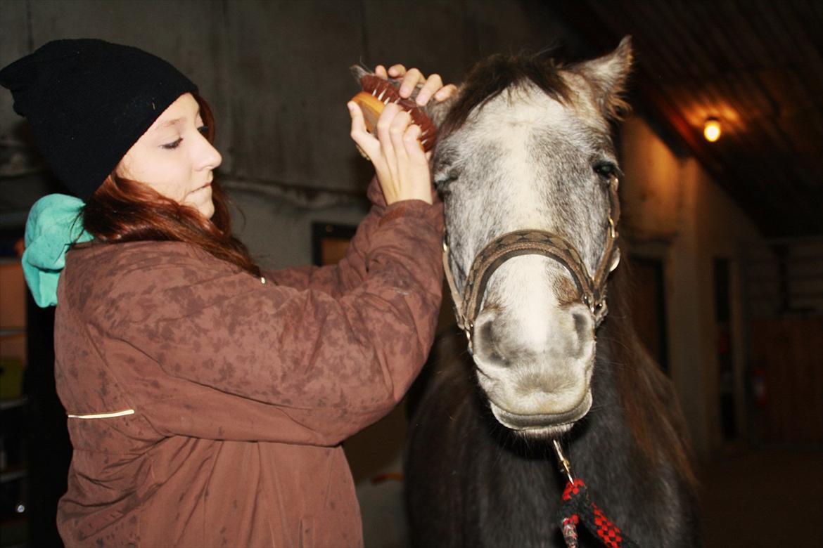 DSP Zulu RIP <3 - dejligt at få nusset øre :)<3 billede 19
