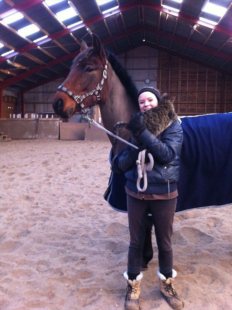 Pinto Nyøstergaards Malou billede 14