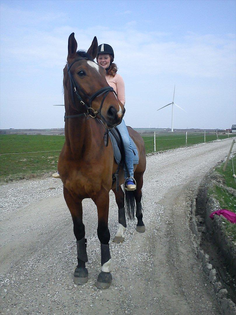 Dansk Varmblod Thybo's Casanova - Storesøster Marianne rider tur på drenegn (Hun er ikke rytter, men Casanova er så sød ved hende) billede 7