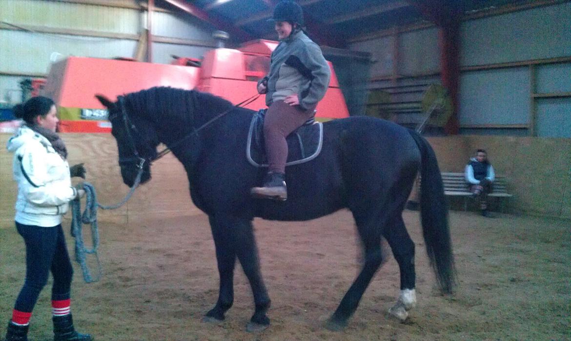 Oldenborg Lando Tisted billede 16