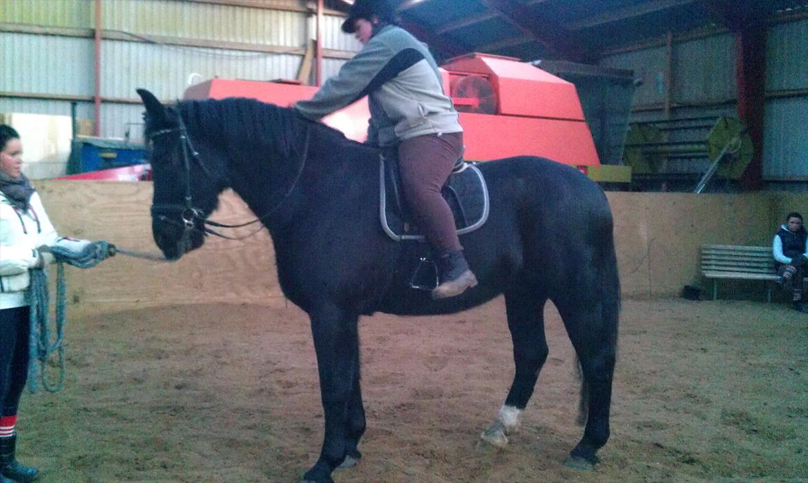 Oldenborg Lando Tisted billede 17