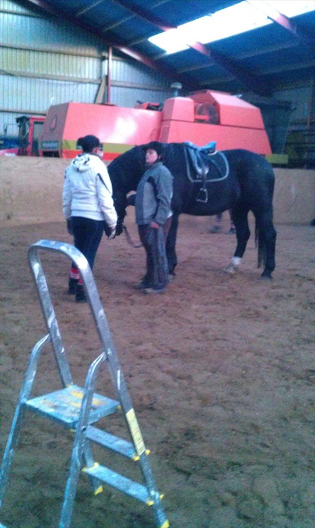 Oldenborg Lando Tisted billede 18