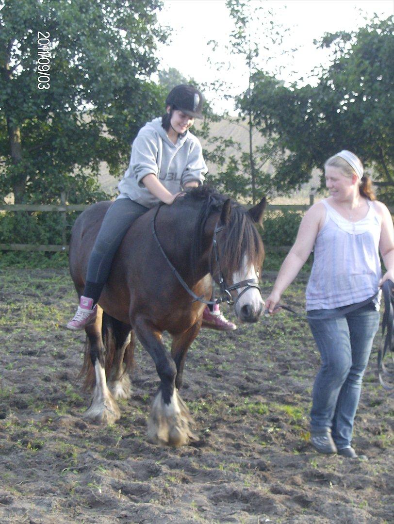 Irish Cob Bakkegårdens Blossom - Anette & Emma (rytter) i gang med tilridning billede 19