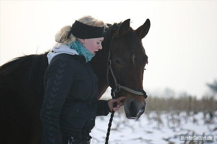 Pinto Dark Daimond<3 - Hold op hvor jeg dog virkelig holder af dig min Diamant! Du betyder mere en jeg kan sætte ord på. :* <3 billede 1