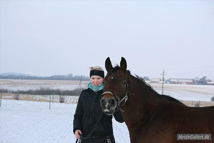 Pinto Dark Daimond<3 billede 19