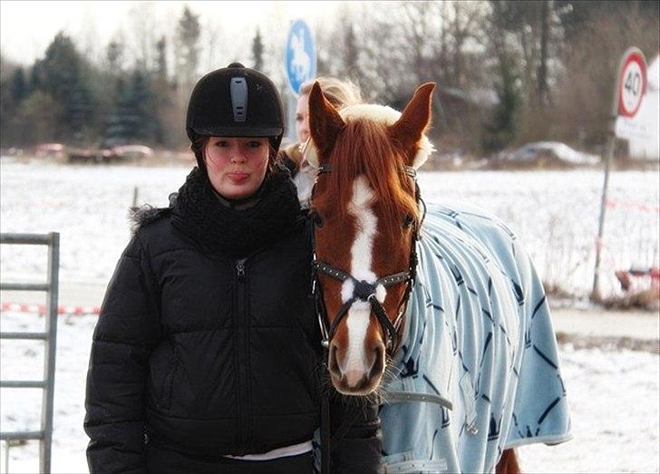 Anden særlig race Joy - Velkommen til Joy´s profil - Januar 2012 :-) [Fotograf: KT] billede 1