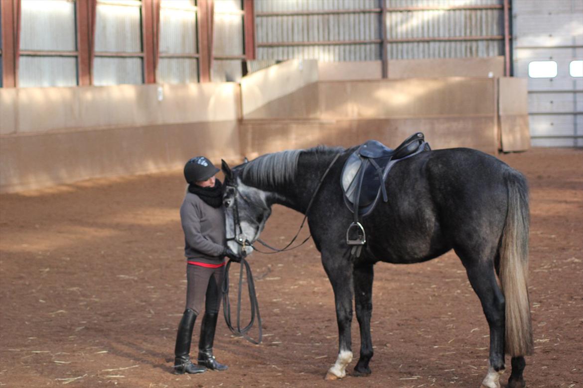 Anden særlig race Ferdinand Pascal billede 15