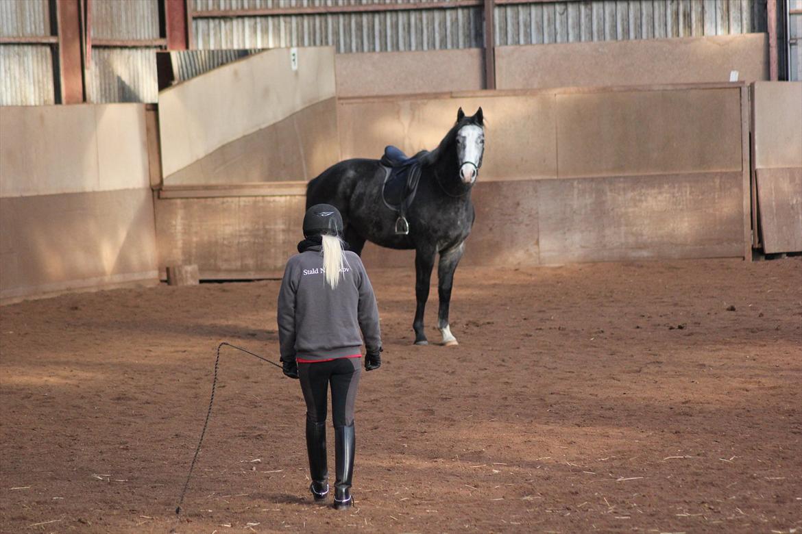 Anden særlig race Ferdinand Pascal billede 16