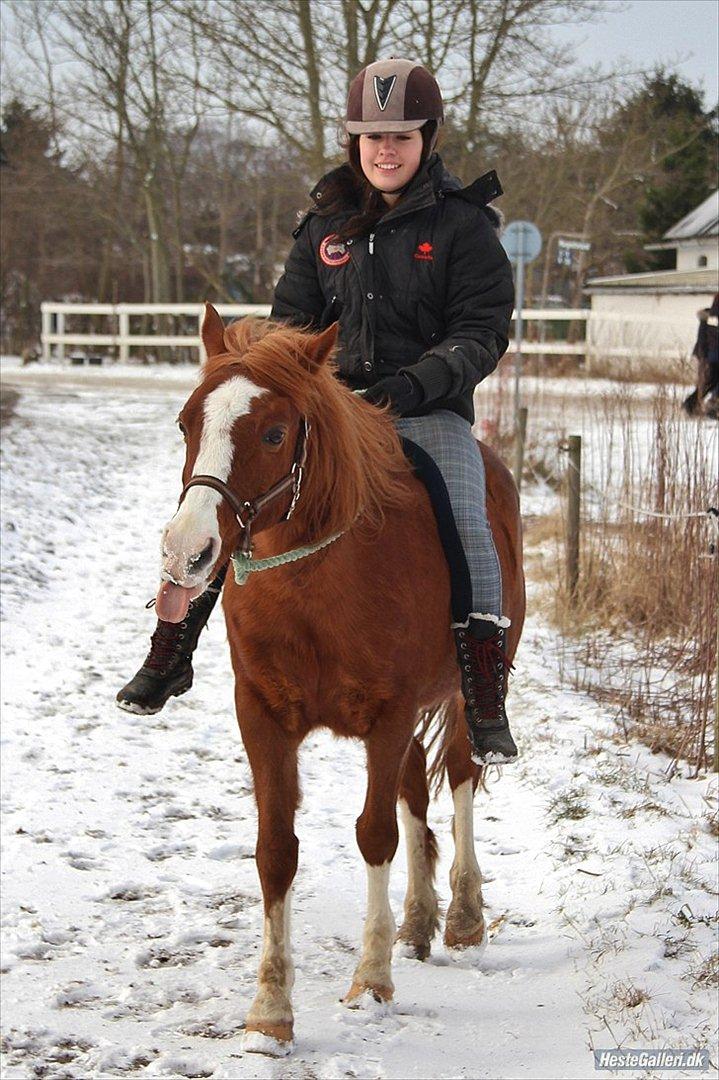 Anden særlig race Fireball - MinBedsteVen <3 - Foto: KT-FOTO.
"It's not the goodbye that hurts but the flashbacks that follow" billede 12
