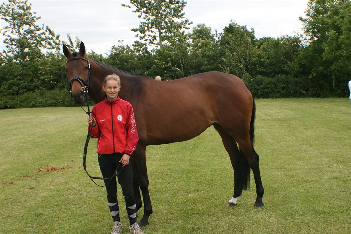 Dansk Varmblod Meldgårds Libell - Hygge :D billede 19