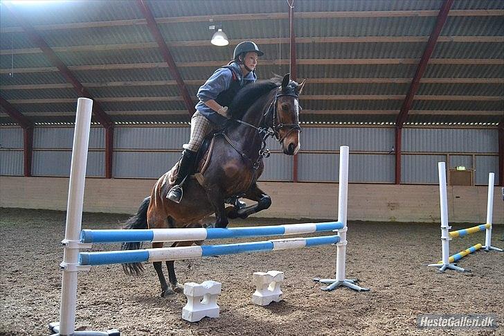 DSP Kahsmir SOLGT billede 12