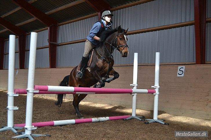 DSP Kahsmir SOLGT billede 13