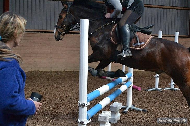 DSP Kahsmir SOLGT billede 14