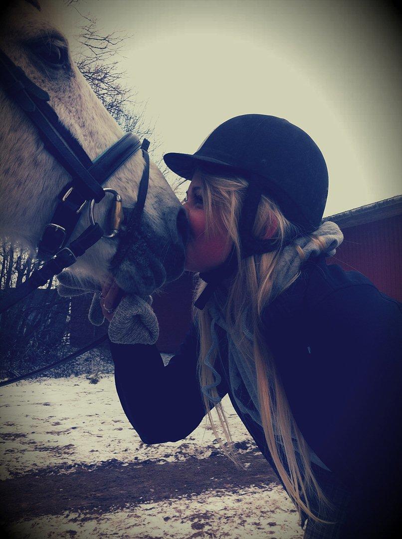 Anden særlig race Igors Silver Speedy - Not just a horse, but my best friend. <3 I'll never find someone like you! 
Foto: Kirstine Egeskov. vinter, januar 2012. billede 18