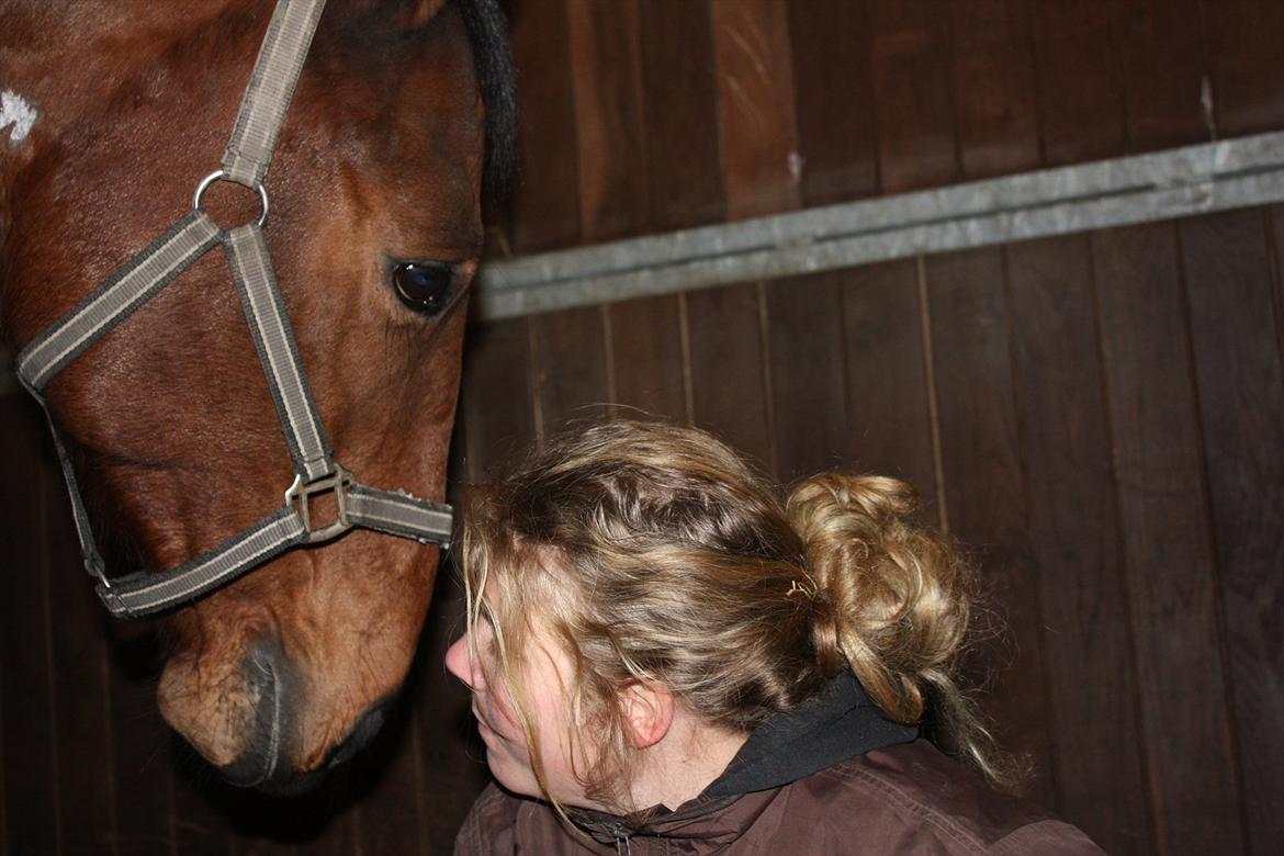 Dansk Varmblod Comet <3 * SOULMATE* - Comet & Mathilde sammen 1 år ! (:<3
1. februar 2012 billede 6