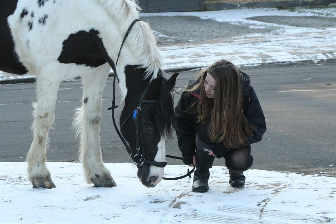 Irish Cob Mars <3 | Mit liv. <3 |  - Baby you light up my world like nobody else. <3 I will always love you <3 billede 6