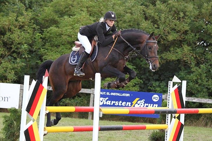 Holstener Carlos "Solgt til USA" - Carlos og Sofie 
5 års championats kvalifikation billede 5