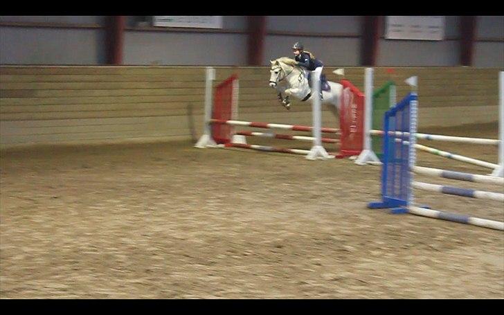 Anden særlig race GHOST BUSTER - Anna og Buster i LB** 1. plads :-) billede 8