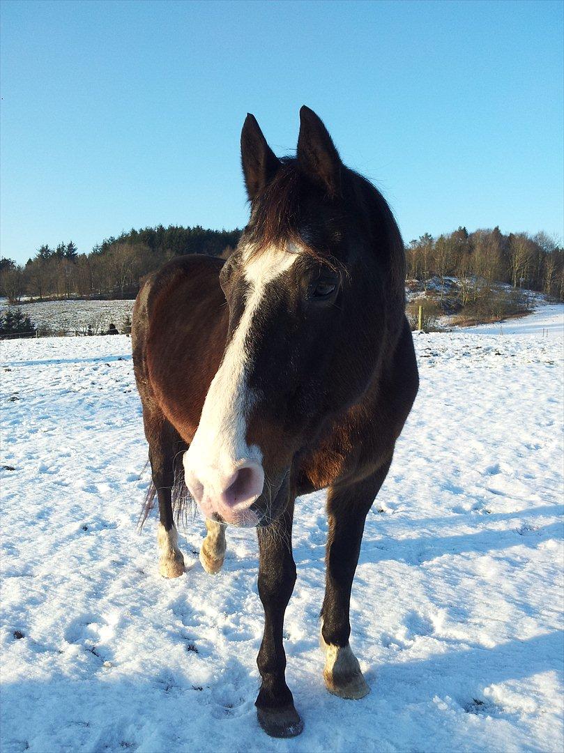 Oldenborg LARSEN - 24/01 - 2012: Du er det smukkeste jeg længe har set <3 billede 18