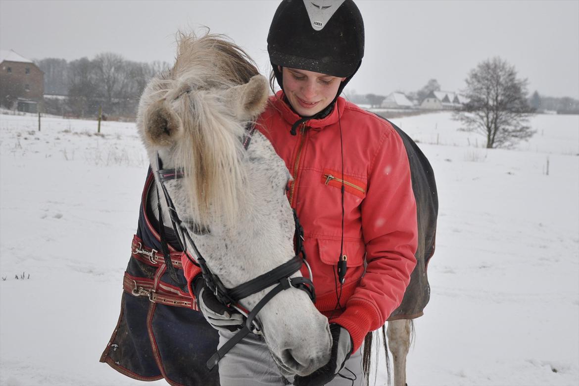 Arabisk fuldblod (OX) Bahia Blanca - Death ends a life, not a relationship. billede 18
