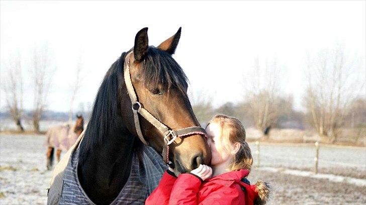 Anden særlig race Flying Maddie - You make me smile :') billede 13