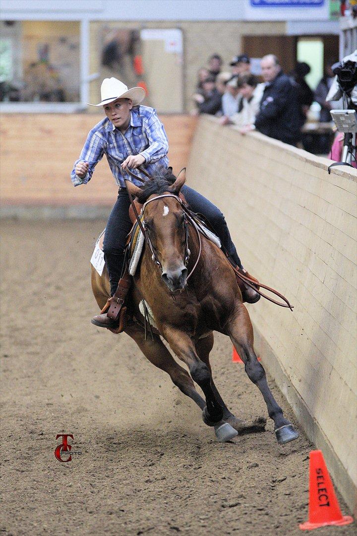 Quarter Our Mr San Fritz billede 14
