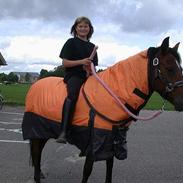 Sportsaraber (A) Olivia Svanfolks