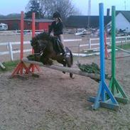 Anden særlig race kalle gamel part