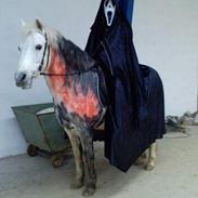 Connemara Loppe Solgt