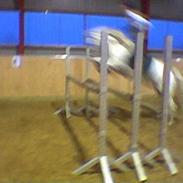 Connemara Loppe Solgt