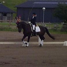 Oldenborg Ally af Egense R.I.P.