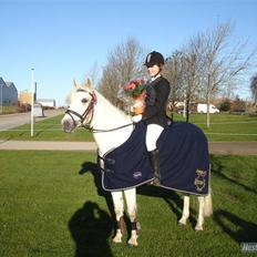 Connemara Nørlunds Penny Lane 