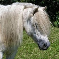 Anden særlig race <3 Laura <3 † R.I.P † 