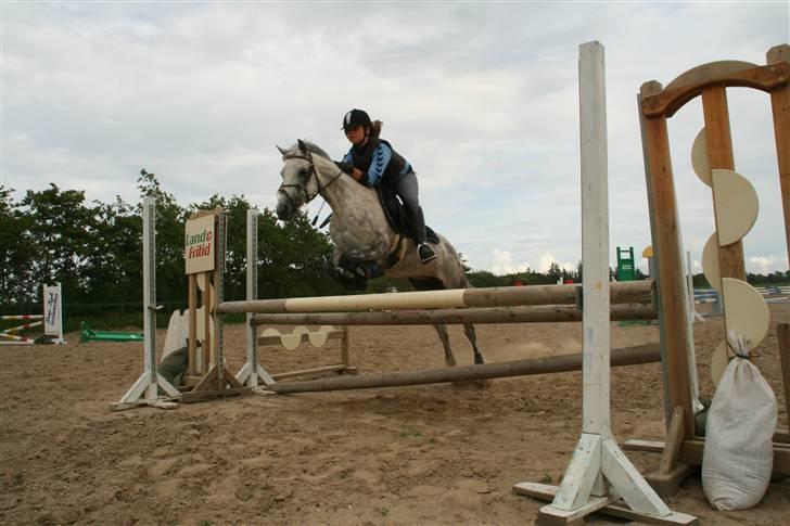 Hollandsk Sportspony | Rainy Lake (solgt 07) - Du smuk min egen!<3 billede 12