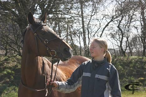 Dansk Varmblod *Sussie* - 14 # "Hej Anne"... Foto: Cabana Foto... billede 14