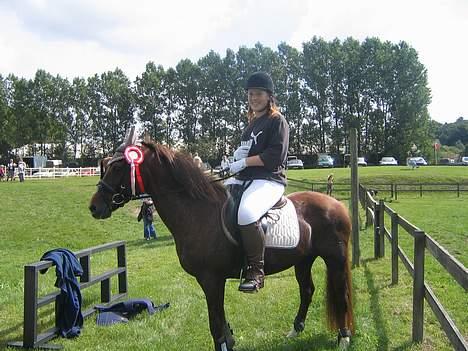 Anden særlig race Nansi R.I.P - vi vandt fandme vores første springstævne :p . LD 60 cm. billede 15