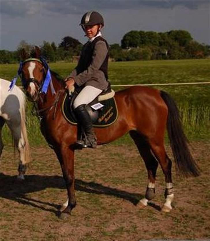 Anden særlig race Clements Lobel( R.I.P) - til holdmesterskabet 2007 <3 billede 1