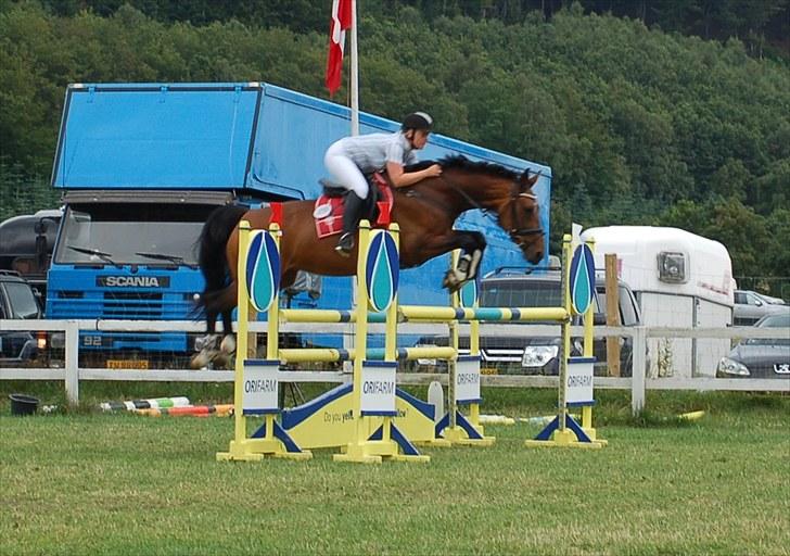 Dansk Varmblod Ørevadbros Chloe - SOLGT - Fra Jysk rideuge 2010 - rytteren er Louise Birkholm og de springer LA billede 4