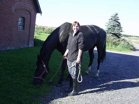 Dansk Varmblod Delight (Aflivet) - Og så en glad ejer, med en hest der lige er kommet ud af traileren - græssende :D billede 7