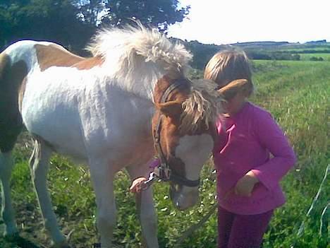 Anden særlig race Zultan <'33 - Natalie og Zultan ! Ny taktic ! Hun holder, jeg tager billeder ? billede 6